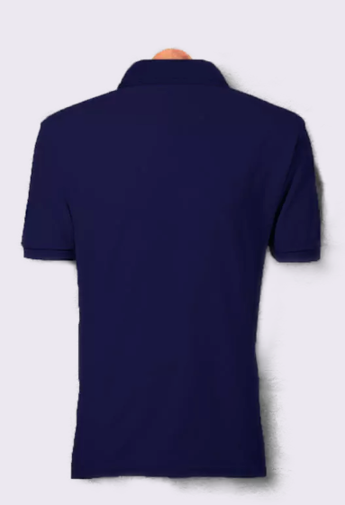 IIT Madras Polo Tshirt - Blue